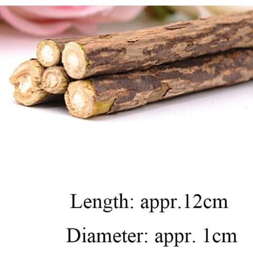 5Pcs/Bag Pet Cat Snacks Matatabi Chew Catnip Stick Teeth Molar Cleaning Brush Toys C66