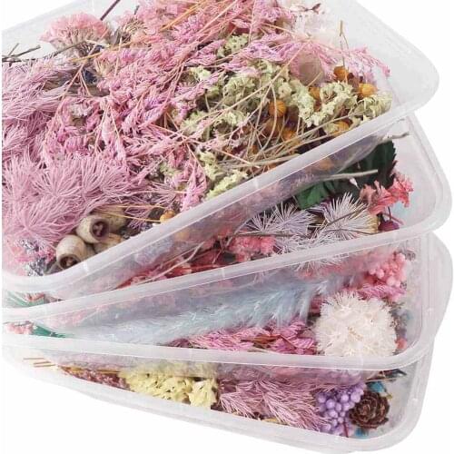 1 Box Real Dried Flower Plant Filling for Aromatherapy Candle Epoxy Resin Jewelry Mold DIY Making Home Decoration Craft Material