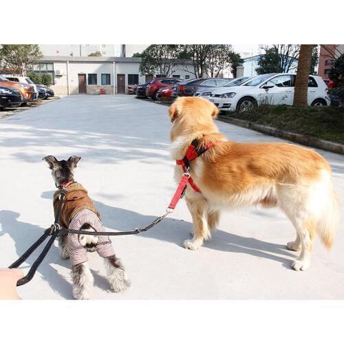 Durable Adjustable Safety Double Dog Leash for Two Dogs Control Restraint Twin Lead 2 Way Two Pet Dogs Walking Traction Rope