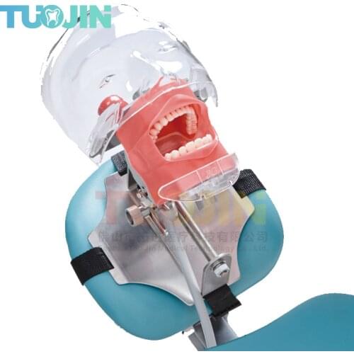 Tooth Model Dental Simulator Manikdin Phantom Dental Models Fordentist Teaching Model equipment material Removable teeth