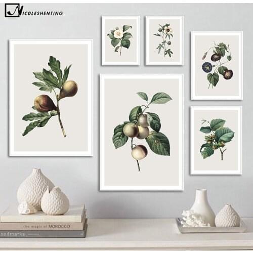Plant Leaf Fruit Canvas Painting Vintage Botanical Poster Nordic Art Retro Print Flower Wall Picture Modern Home Room Decoration