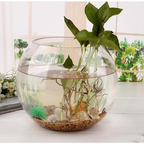 Clear Fish Bowls Heavy Duty Glass - Great For Fishbowl, Aquarium Supplies, And For Partys Games