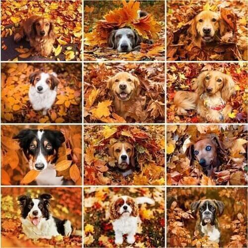 Evershine 5D DIY Diamond Painting New Arrival Dog Diamond Embroidery Animal Cross Stitch Autumn Wall Decorations