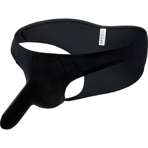 2XL Ice Silk Elephant Pouch Briefs Jockstrap Sexy Transparent Men Underwear Slip Homme Gay Thongs Calzoncillos Panties Plus Size