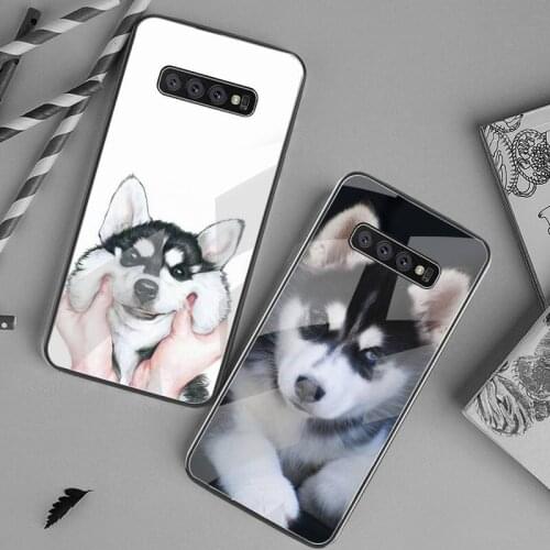 Cute Siberian Husky dog Phone Case Tempered Glass For Samsung S20 Plus S7 S8 S9 S10 Plus Note 8 9 10 Plus
