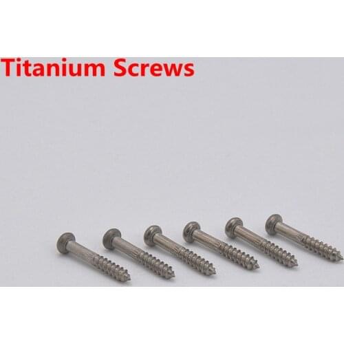 1 Set (6Pcs) Tremolo System Bridge Titanium Screws for ST Guitae Bridge