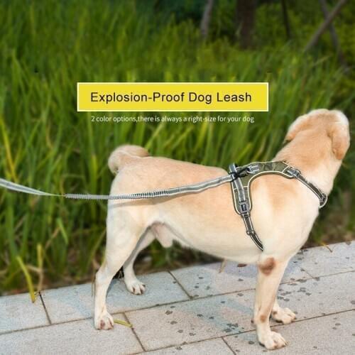 1M Outdoor Pet Explosion-Proof Traction Leash Reflective Stretchable Dog Leash Nylon Adjustable Dog Chain For Smal Medium Dogs