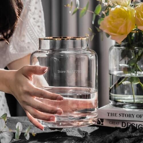 Vase for Flowers Living Room Decoration Flower Terrarium Transparent Glass Large Vases Nordic Decoration Home Decor Vase