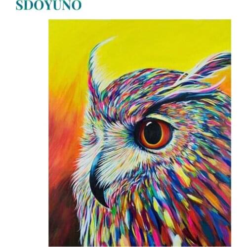 SDOYUNO Oil Paint By Numbers Kits Colourful Owl 60x75cm Painting By Numbers On Canvas Animals Frameless DIY Nmuber Painting Deco