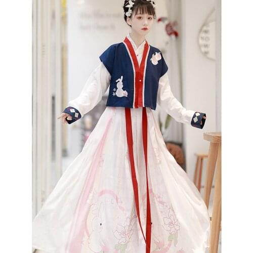 Chinese Style Women Elegant Rabbit Hanfu Dresses Ancient Traditional Ming Dynasty Princess Costume Floral Embroidery Sets