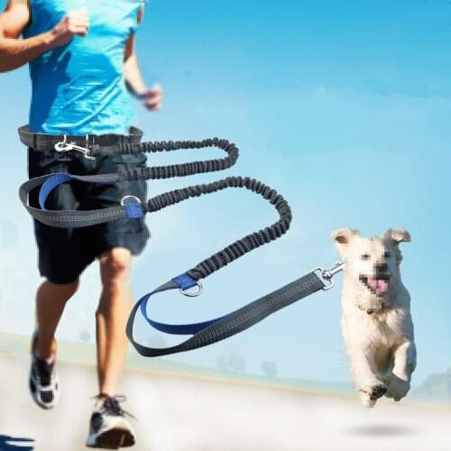 Pet Dog Running Belt Elastic Hands Freely Jogging Pull Dog Leash Metal D-ring Leashes 2021 New Reflective Leash Traction Rope