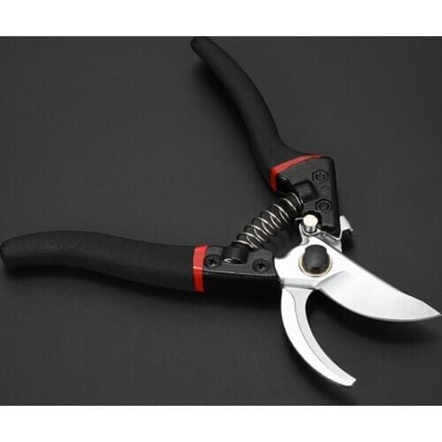 Garden Pruning 20cm Tool Fruit Tree Shear scissors Plant Scissor Branch Pruner Trimmer Tools Gardening Pruner