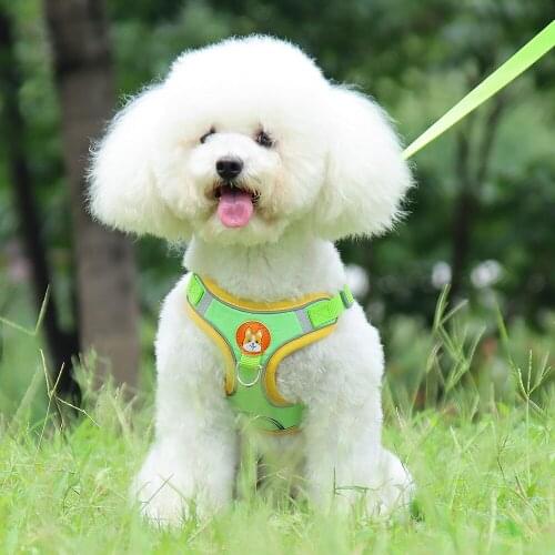 KIMHOME PET Harnesses