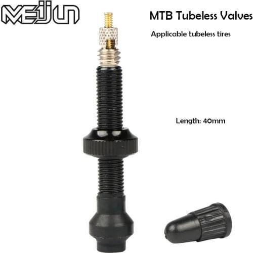 2pcs Bicycle vacuum rim tubeless vacuum nozzle Extended air nozzle 40mm long valve core removable