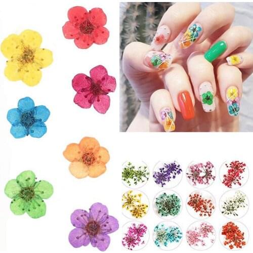 24Pcs/36Pcs Nail Rhinestones Dried Flower 3D Beautify Fingers Colorful Floral Patterns Stickers Nail Art Tools with Box