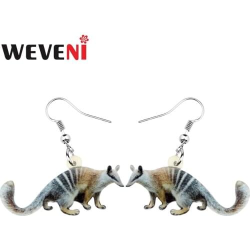 WEVENI Acrylic Gray Striped Numbat Earrings Dangle Drop Unique Animal Jewelry For Women Girls Lovers Charm Gift Decoration