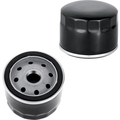 Oil Filter Fits For Briggs & Stratton 696854 795890 842921 695396 492932 D30 Craftsman24603 Replaces OEM