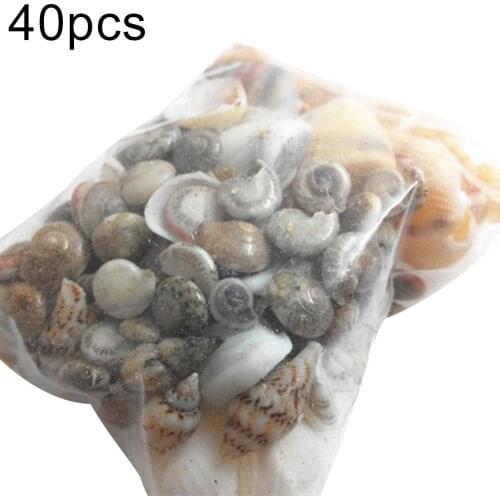 Fashion 40pcs/Lot Small Miscellaneous Conch Natural Craft Sea shell Aquarium Fish Tank Landscape Home Decor DIY Material