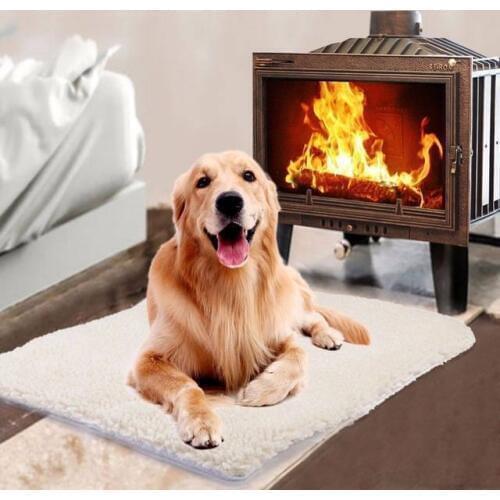 Dog Beds Bayppy China