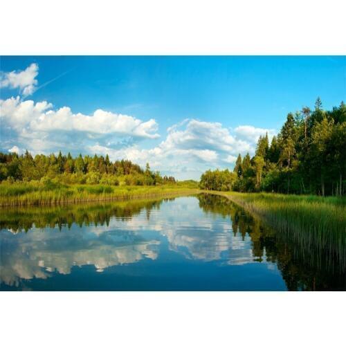 Laeacco Forest Trees River Blue Sky Clouds Scenic Photography Backgrounds Customized Photographic Backdrops For Photo Studio