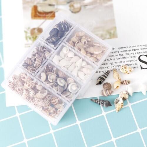 100Pcs/Box Natural Conch Shells Mini Conch Corn Screw Wall Decoration DIY Aquarium Landscape Seashells Jewelry DIY Craft