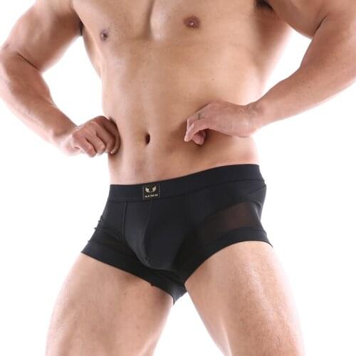Men Boxer Underwear Mens Breathable Quick Dry Mesh Nylon Shorts Man Underwear Cueca Gay Panties Boxershorts