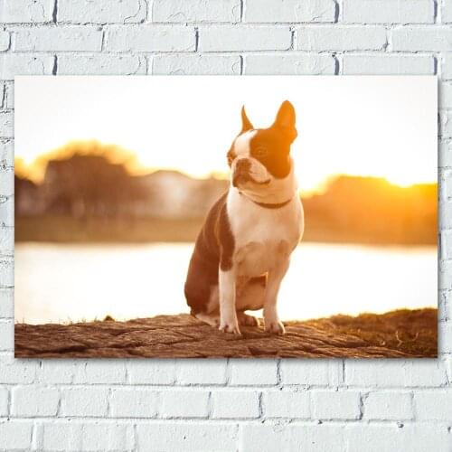 Sunset dog pet cute Animal Decorative paintings Wall Art Posters Canvas Prints For Living Room Decor