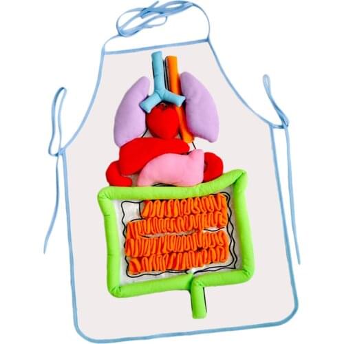 Childrens Body Apron Educational Toy Childrens Human Organs Awareness Toys
