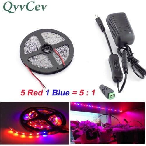 Qvvcev 2M 3M 5M Led plant Grow Strip Light 5 Red 1 Blue Waterproof for plant flower Lamp greenhouse Hydroponics + AC Adapter