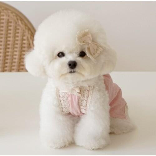 INS Korea spring and summer new lace sling Bichon Teddy dog skirt cotton pet clothes dress to send lace hairpin