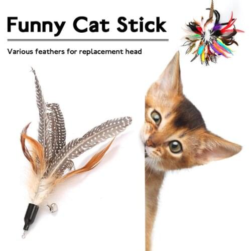 Feather Toys Kitten Funny Colorful Rod Cat Wand Toys Plastic Pet Cat Toys Interactive Stick Pet Cat Supplies Replacement Head
