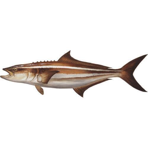 20CM 1pcs Carp Fishing Hook Decal Car Sticker Vinyl Decal Decor Art Fish Fishermen stickers