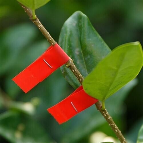 20pcs Plant Branch Tapes Flower Vegetable Gardening Tapes Bind Strap Trunk Connect Stem Hand Tying Stake Tree Link PVC Tie