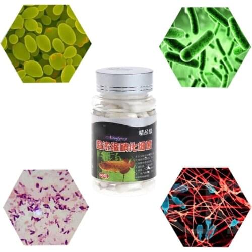 One Bottle 60Pcs Nitrifying Bacteria For Fresh Water And Marine Water Fish Tank