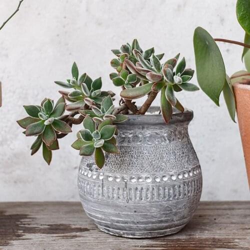 Cement Embossed Flower Pots Nordic Style Retro Literary And Artistic Clay Pots