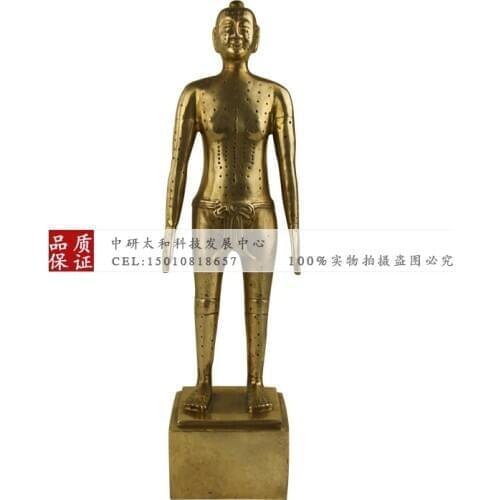 32cm Acupuncture Model Points Model Acupuncture Point Model Pure Copper Model