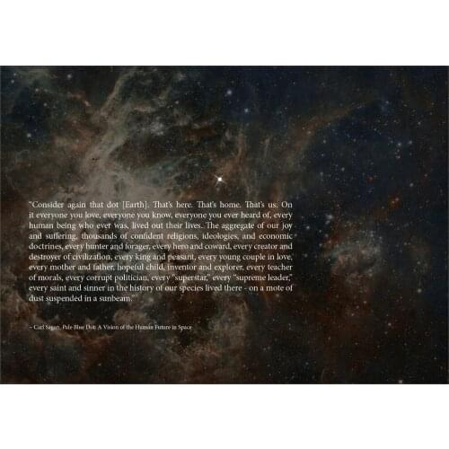 Carl Sagan Pale Blue Dot Quote Art Home Room Art Wall Silk Print Poster
