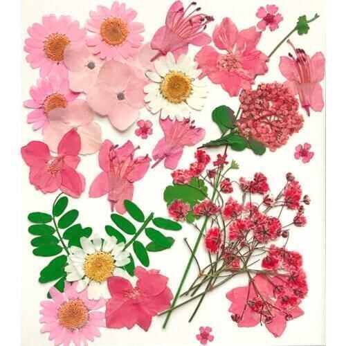 Various Real Press Dried Flowers Leaves For Epoxy Resin Jewelry Making Craft