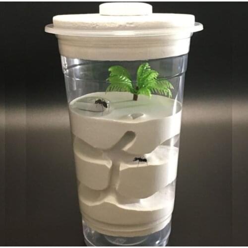 Ant Ecological Box Castle Battle Observation House Ant Castle Small Sand Version Ant Nest Nest Breeding Box Ants Tube