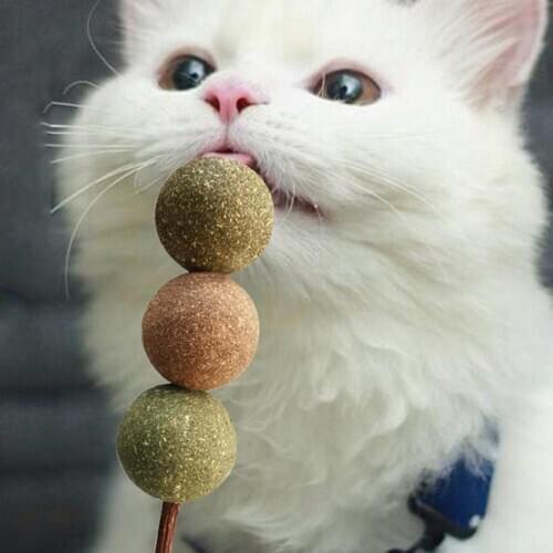 1PC Pet Cat Kitten Matatabi Silvervine Cleaning Teeth Ball Stick Molar Chew ToyPet Cat Cleaning Teeth Ball Stick Molar Chew Toy