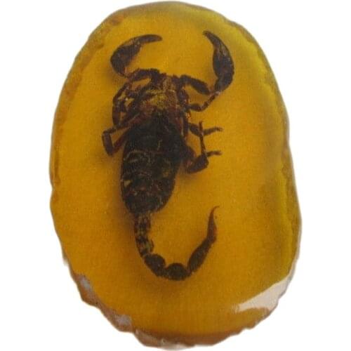 A collection of ancient China.Amber scorpion