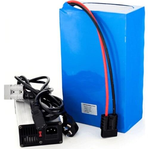 20Ah 48v 1000w electric bike battery lithium battery pack with 4A charger