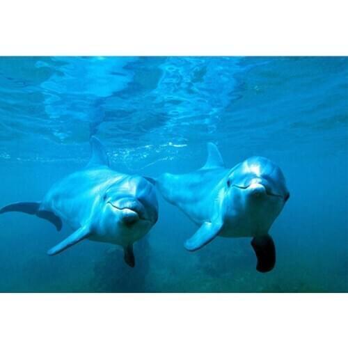 Rhinestone Full Square /Round Drill 5D DIY Diamond Painting animal "dolphin Couple" 3D Embroidery Cross Stitch Home Decor TY464