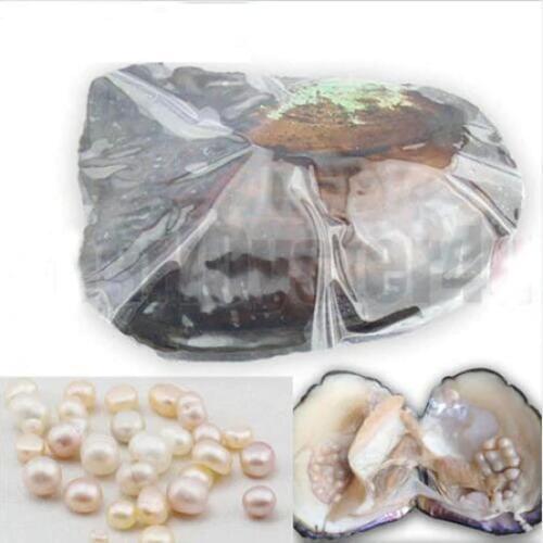 2018 Best Christmas Gifts Big Monster Freshwater Oyster, 20-30 Natural Pearls inside Oyster Vacuum Packed, 6-10 Years, ABH756
