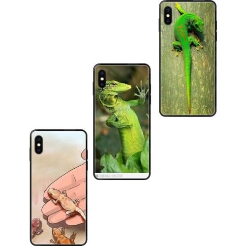 Exclusive TPU Black Soft Phone Cover Case Bearded Dragons For iPhone 11 12 Pro 5 5S SE 5C 6 6S 7 8 X XR XS Plus Max