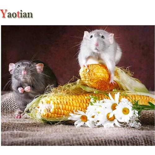 5D Full Drill Diamond Embroidery Mouse and corn funny animal Diamond Painting New Arrival Diamond Painted Diamond Mosaic