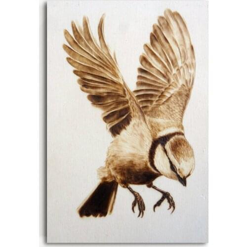 Decorative paintings Birds Wings Feather Animals Wall Art Posters and Prints Canvas Art Paintings For Living Room Decor