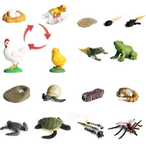 4Pcs Simulation Animal Model Child Mini Animal Rooster Ant Frog Turtle Mosquito Growth Cycle PVC Action Figures Doll toy for Kid