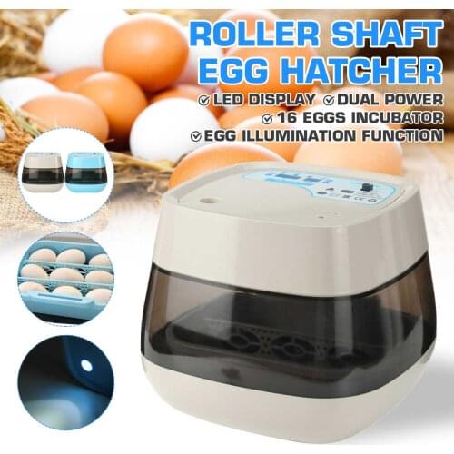 Поилки для животных Meigar China At AliExpress