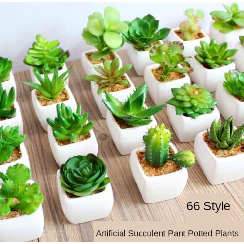 Искусственные растения Halojaju China At AliExpress